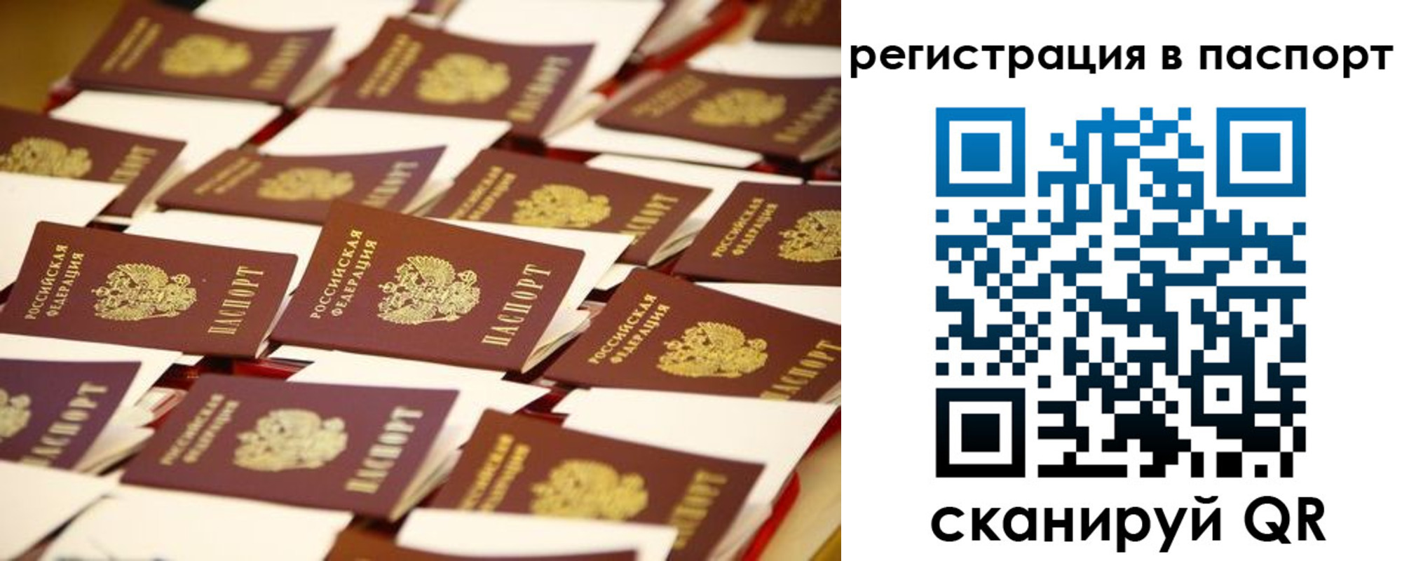 прописка гарантия в Тутаеве